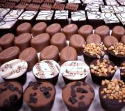 Biz şokolad istehsalı sahəsində biznes qururuq